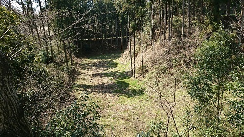 DSC_0091_1.JPG