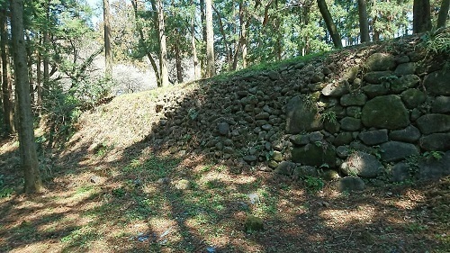 DSC_0120_1.JPG