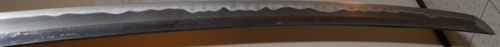 h1.jpg